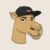 Camels (CAMELS)