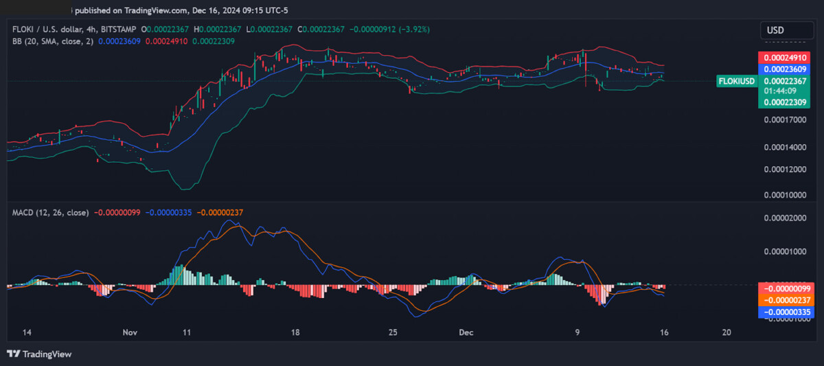 Floki 4-hour price chart