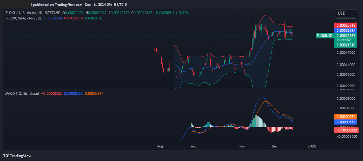 Floki 1-day price chart