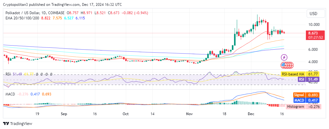 Polkadot daily chart