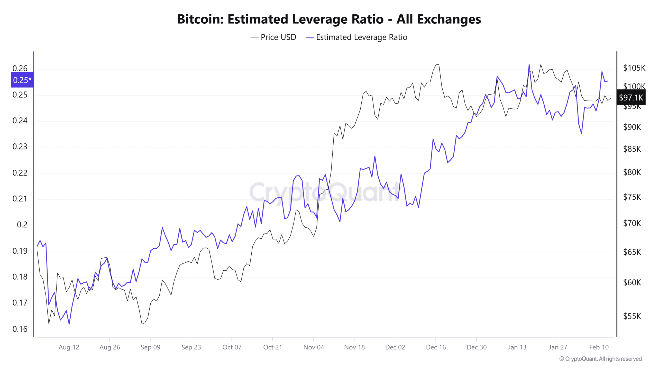Bitcoin estimated leverage