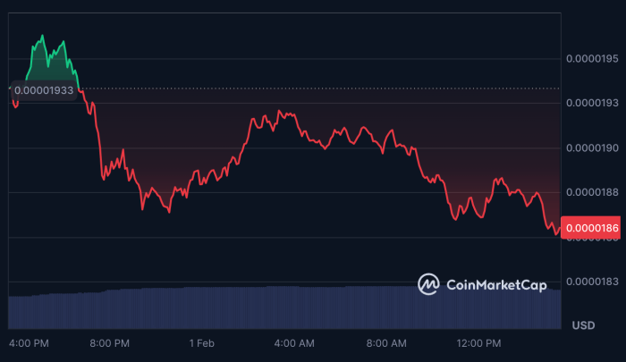 $shib-price-decline