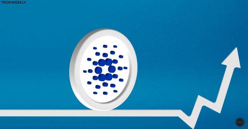 Cardano
