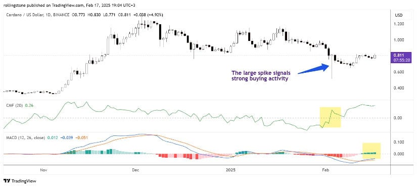The CMF and MACD signal bullish sentiment for ADA on the daily time frame chart.