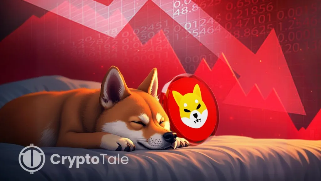 SHIB Whale Activity Plummets: What’s Next for Shiba Inu? image 0