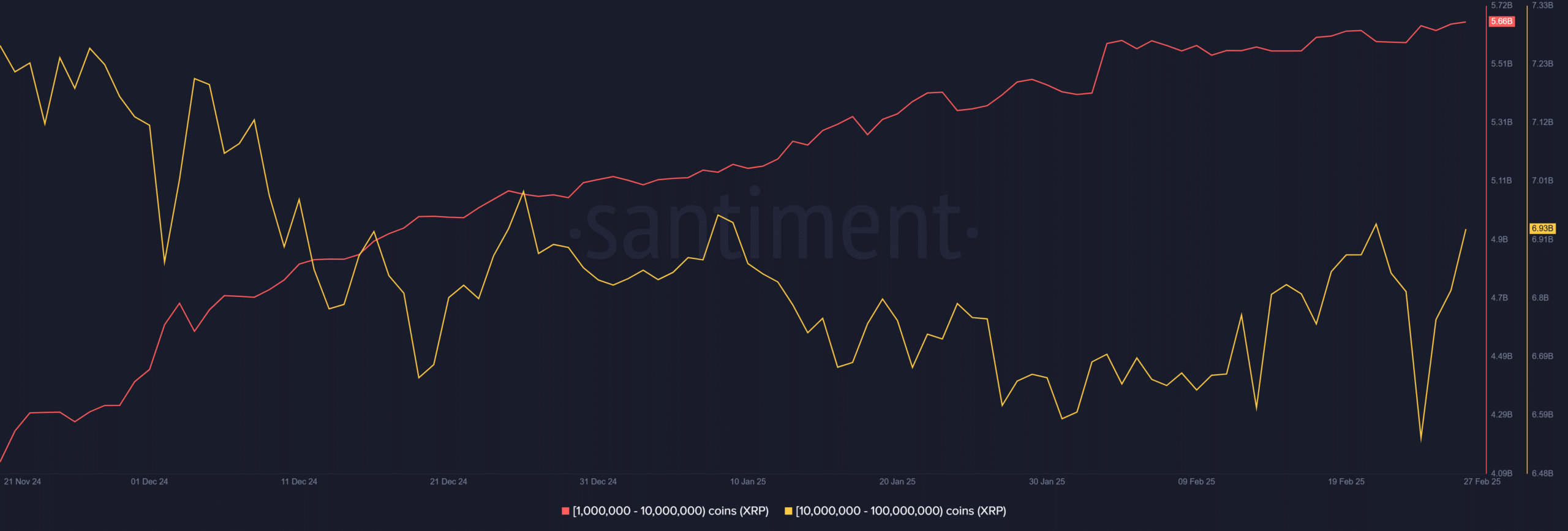 Ripple whales
