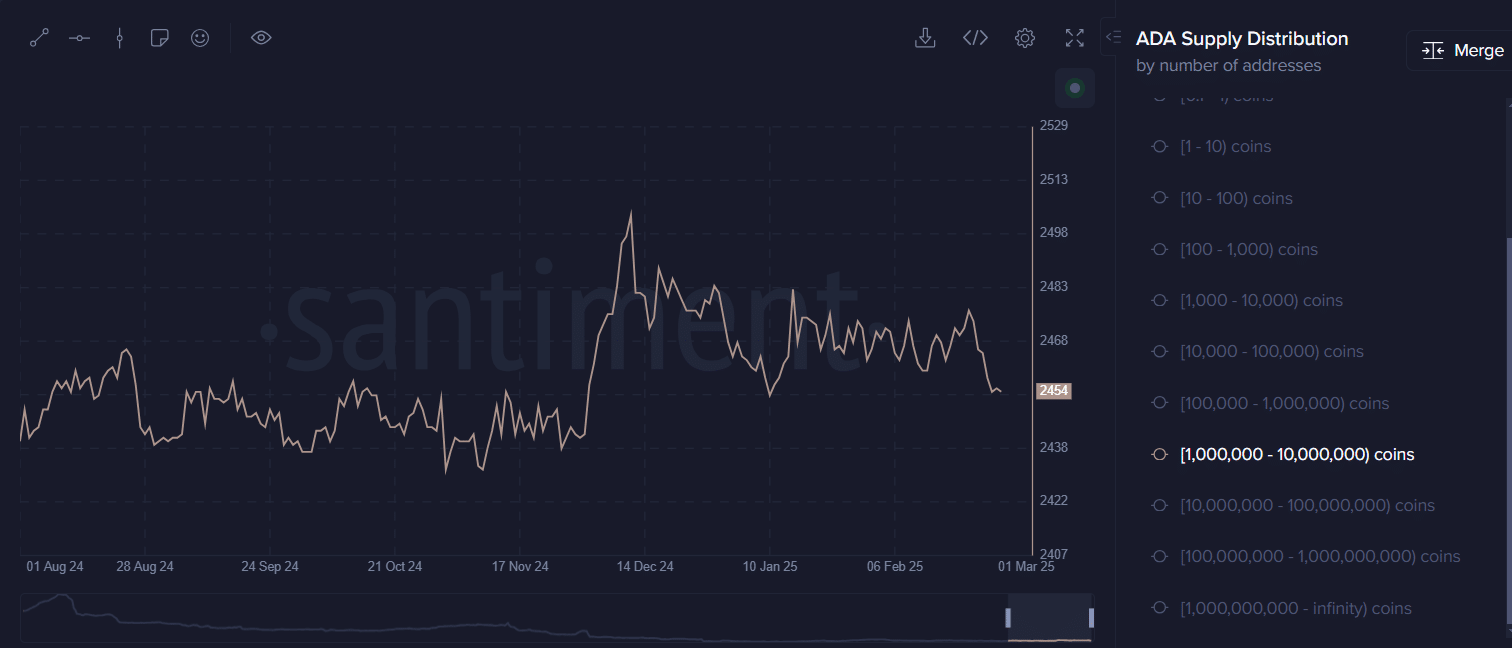 cardano