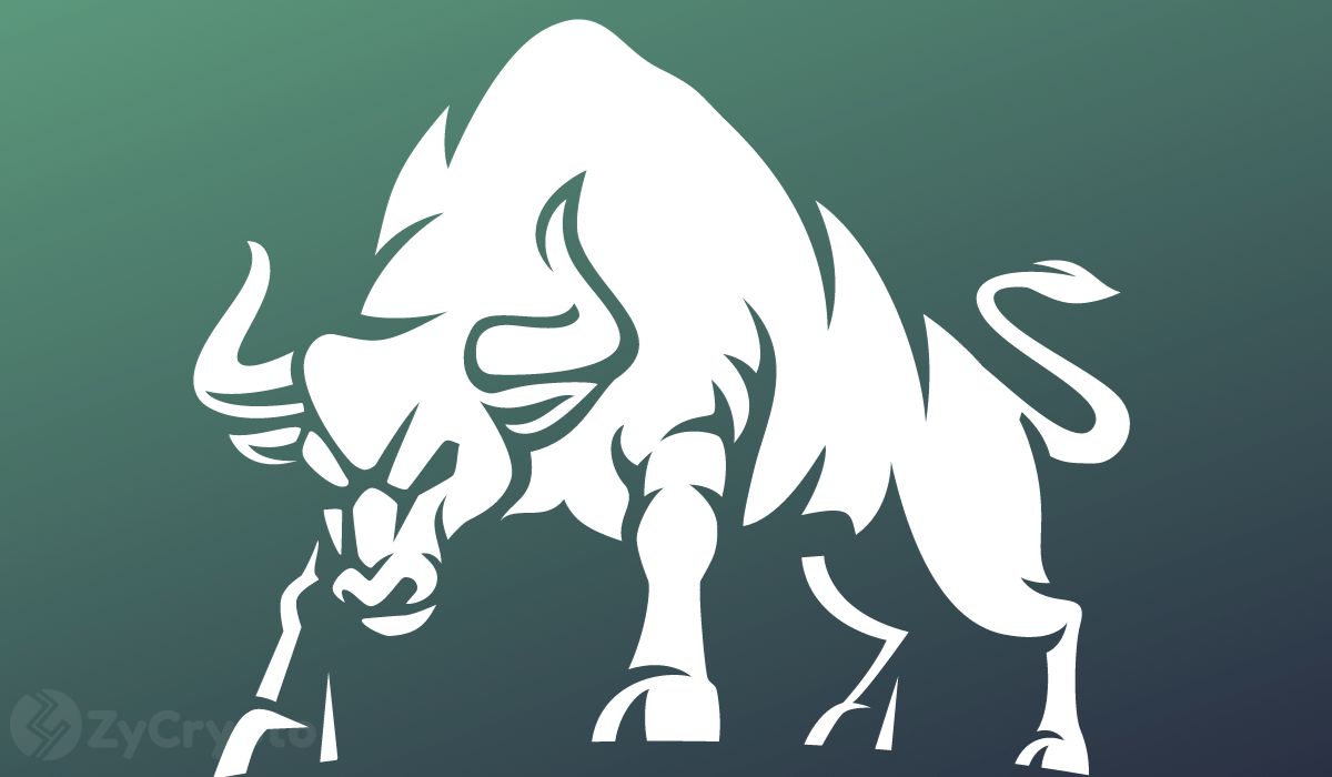 XRP, Ether, Solana, Cardano, Shiba Inu Brace For $1 Trillion ’Bull Shock’ As Spot Bitcoin ETF Comes Nigh