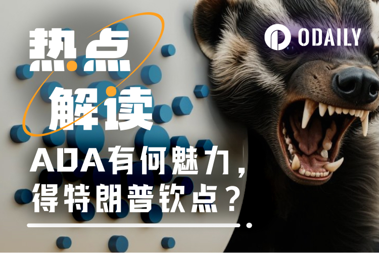 单日暴涨60%,ADA的“核心科技”是特朗普关系网