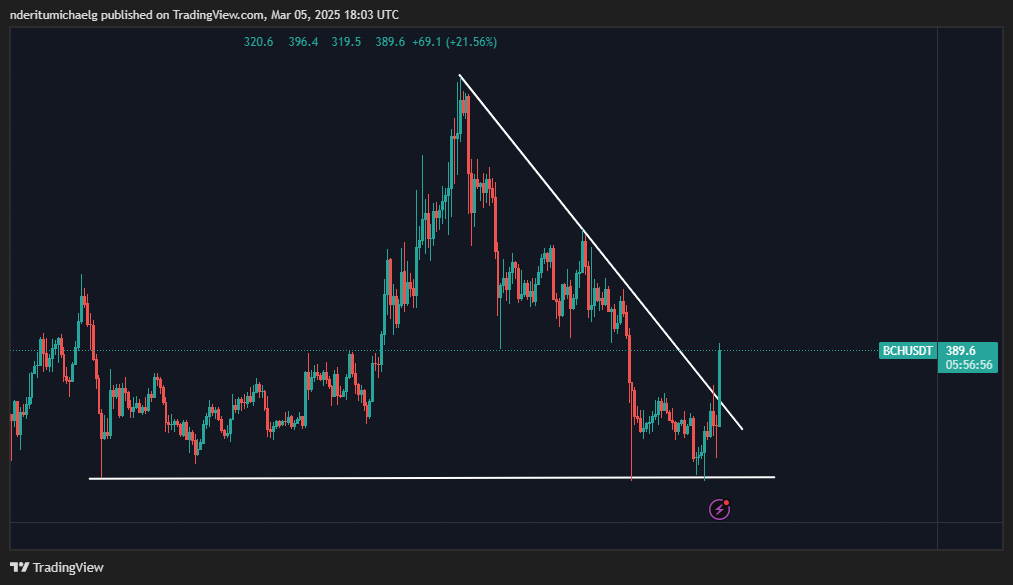 Bitcoin Cash/ Source: TradingView
