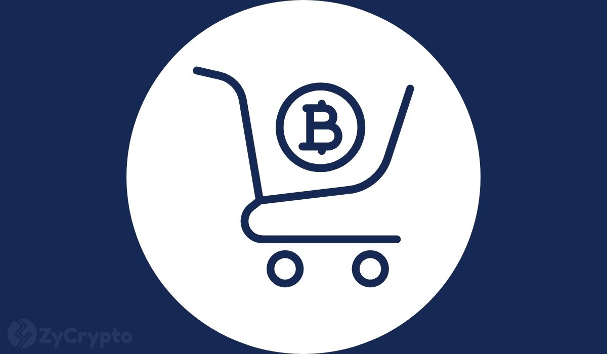 Fort Nakamoto - The US Should Buy A Strategic Reserve Of Bitcoin, Says US Senatorial Aspirant