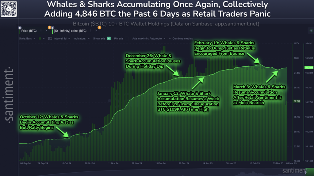 Bitcoin whales accumulate as retail traders panic. Source: Santiment/X