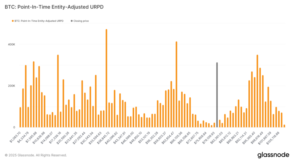 BTC: point-in-time entry- Adjusted URPD | Source: Glassnode