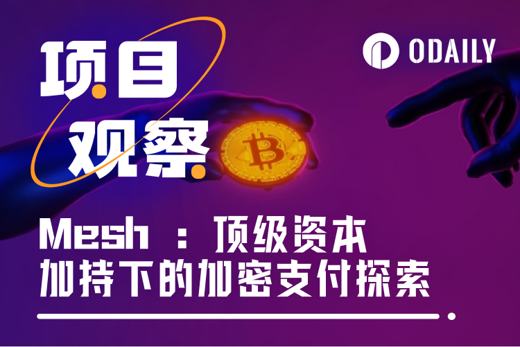 新项目|1.04亿美元总融资,Mesh打响加密支付“新基建”争夺战