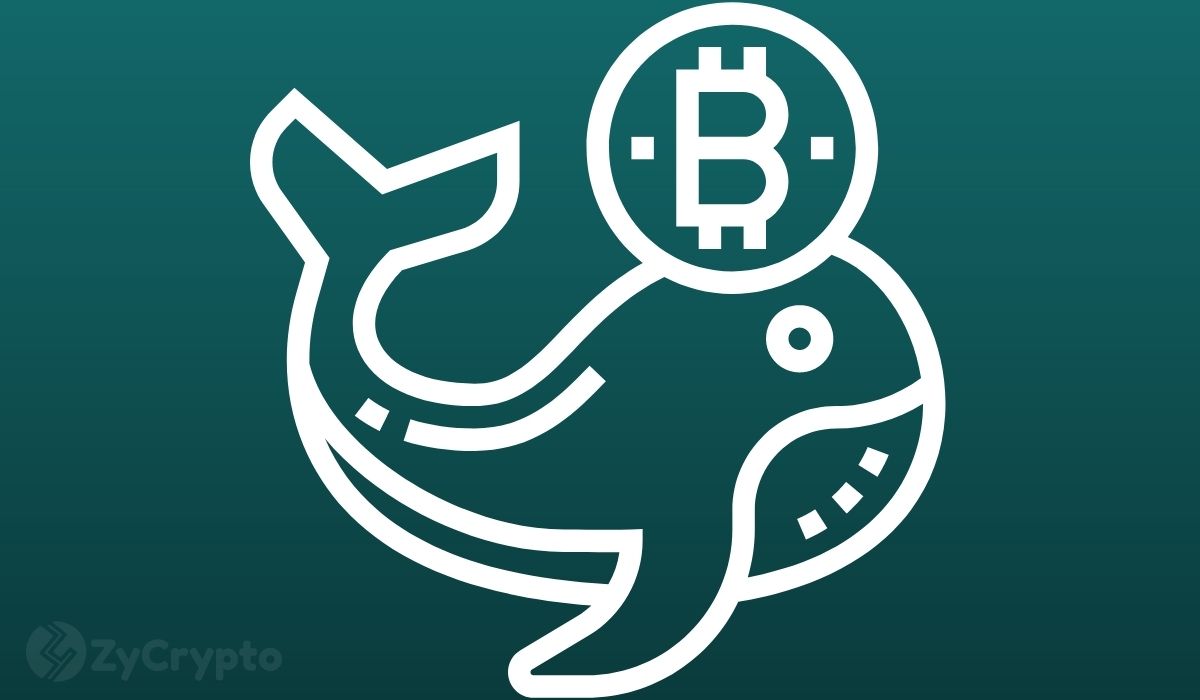 How the CEO of Binance became one of Bitcoin’s biggest whales