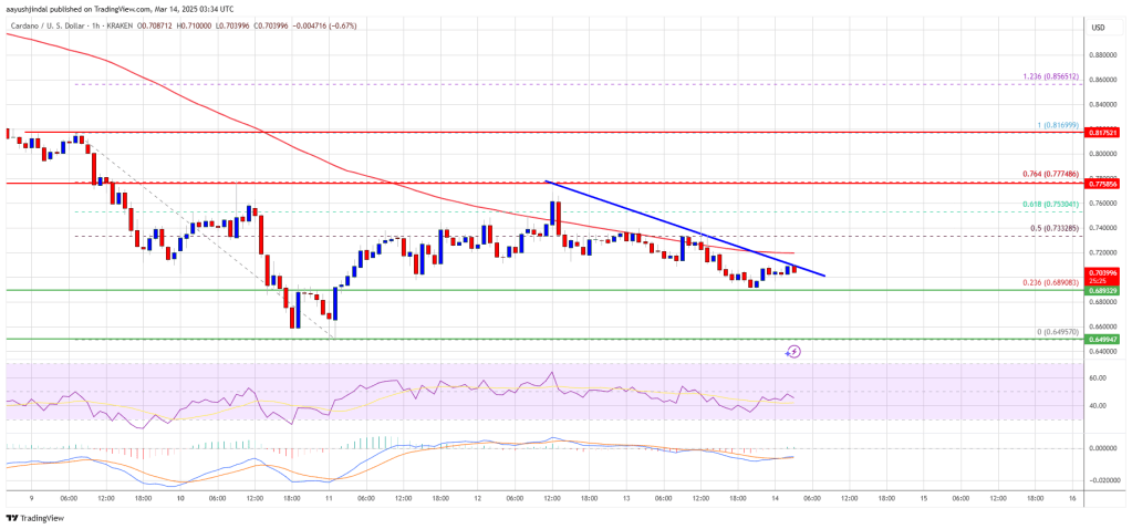 Cardano Price