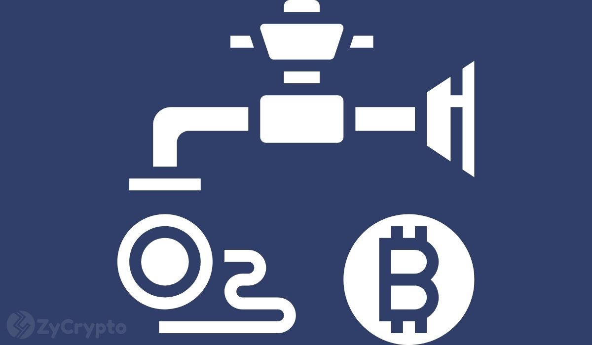 Bitcoin Supply Held By Whales Skyrockets As Glassnode Debunks High BTC Ownership Concentration Report