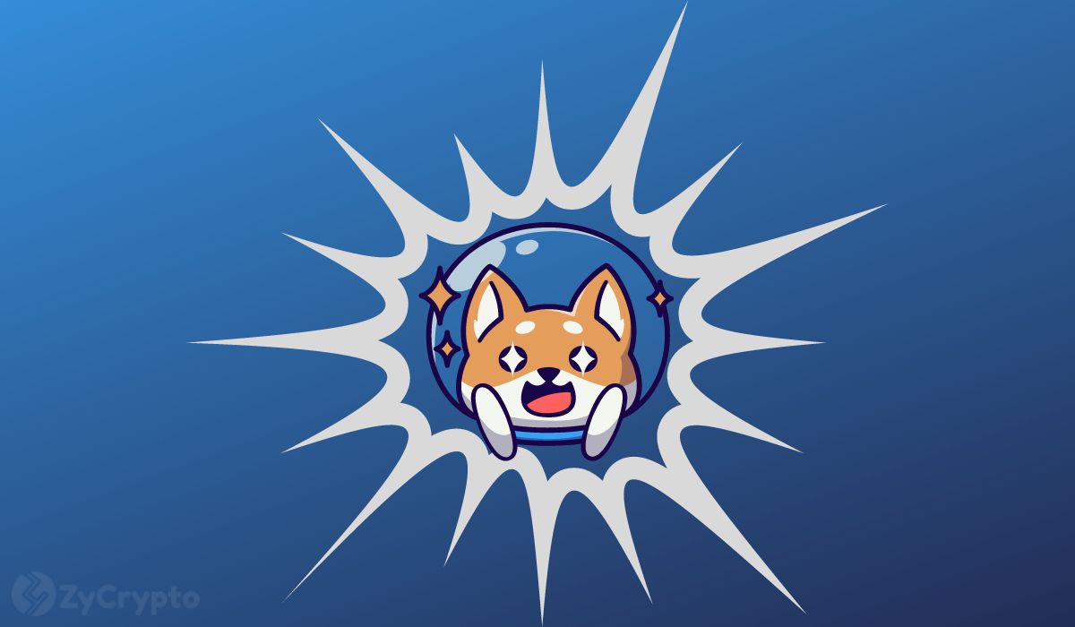 Shiba Inu Primed For Huge Price Outburst After Shibarium Beta Bridge Goes Live For Public Testing