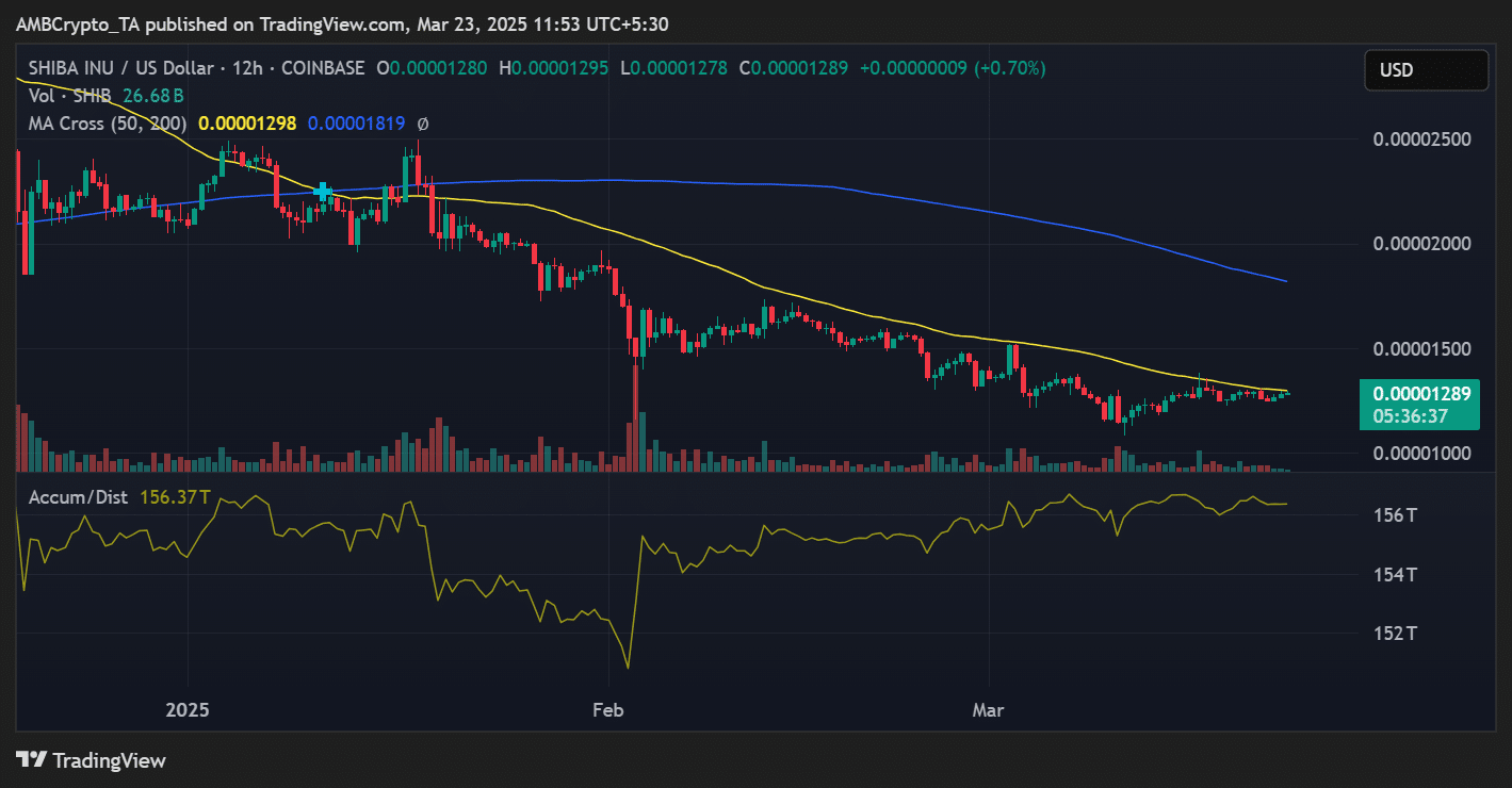 Shiba Inu price trend
