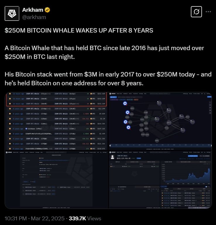 bitcoin whale