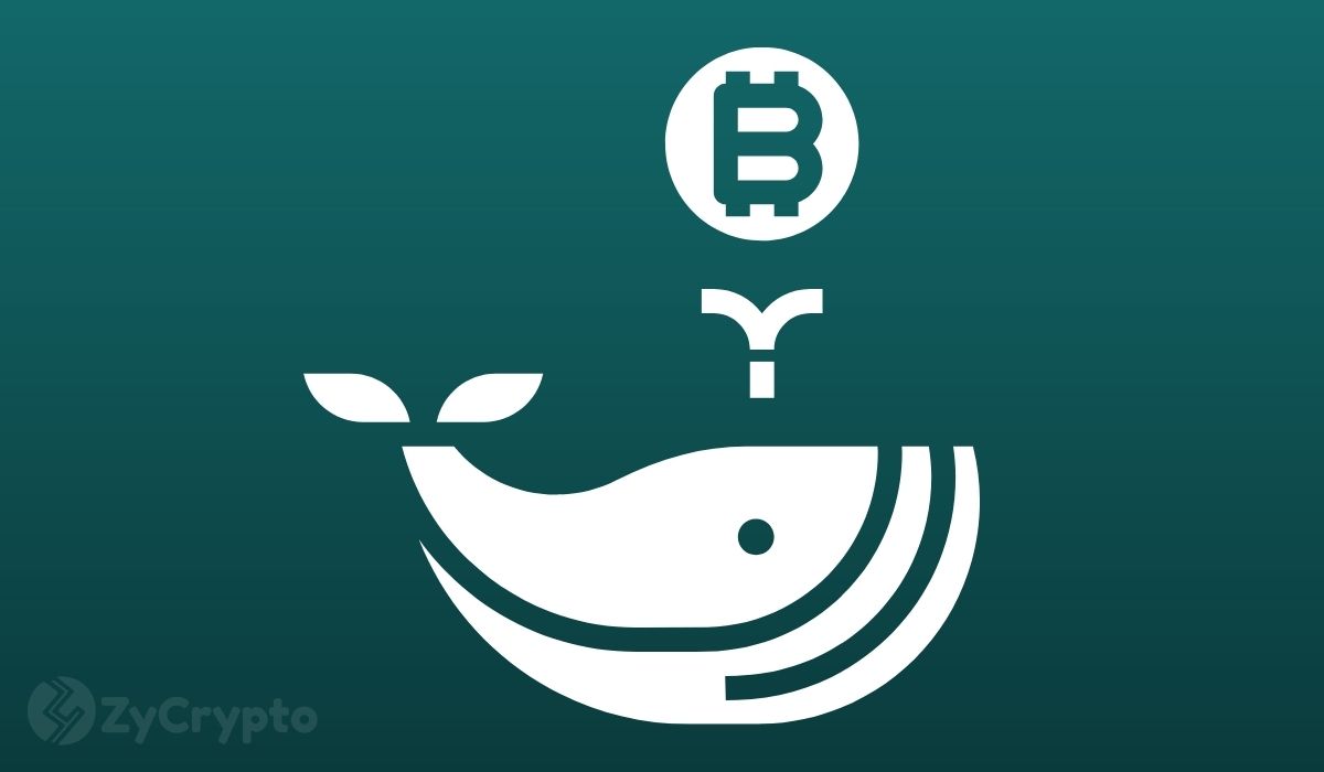 Why Whales’ Movements Have Yet to Fully Reflect on Bitcoin’s Price Action