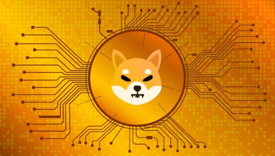 Golden Shiba Inu coin on yellow-orange background