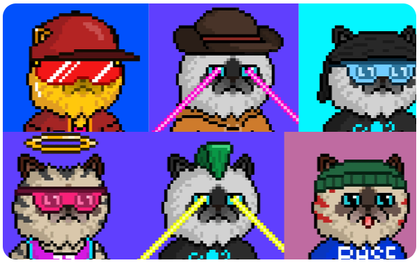 NFTs da Miggles
