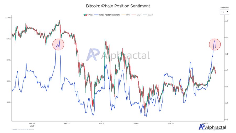 bitcoin whale