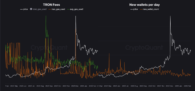 Accumulation phase on Tron| Source: CryptoQuant