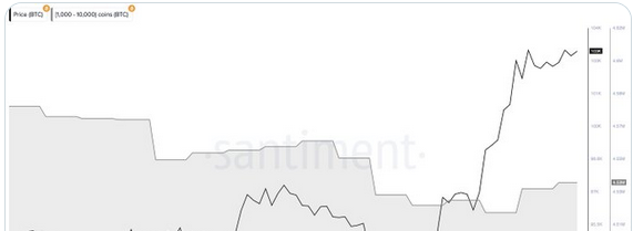 数据:过去48小时鲸鱼买入超2万枚BTC