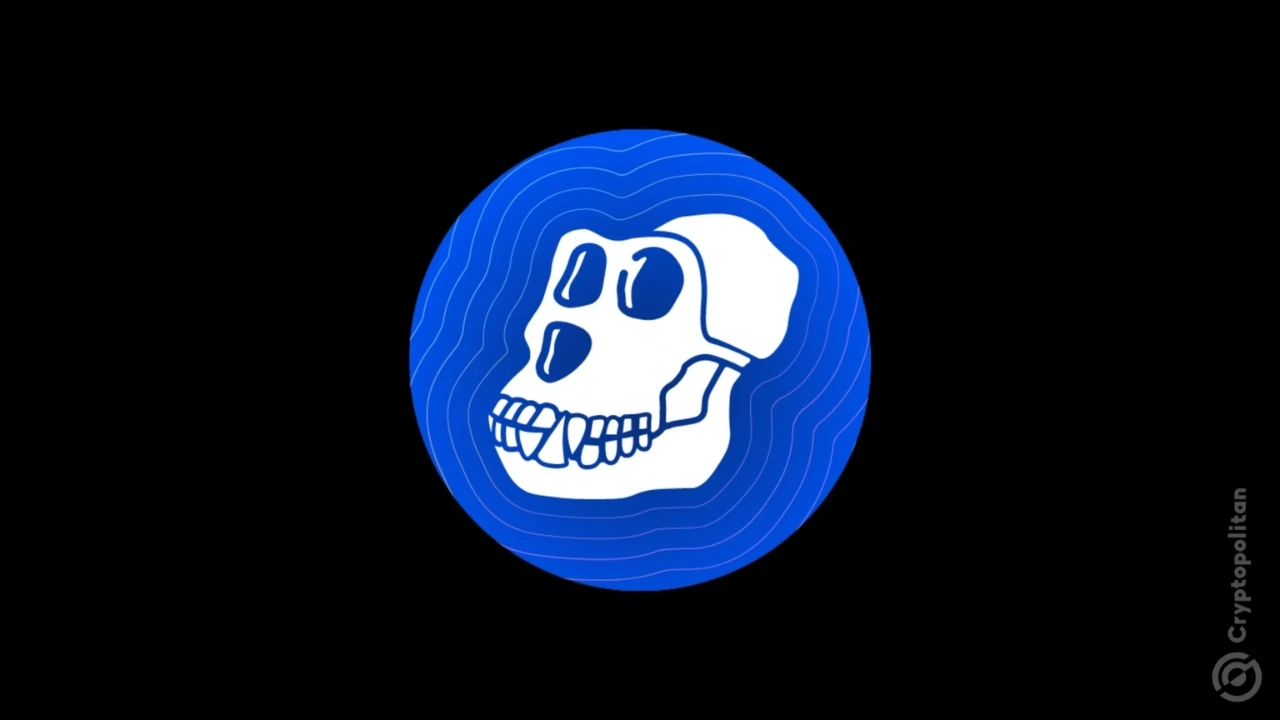 Yuga Labs busca matar a Apecoin Dao y lanzar Apeco