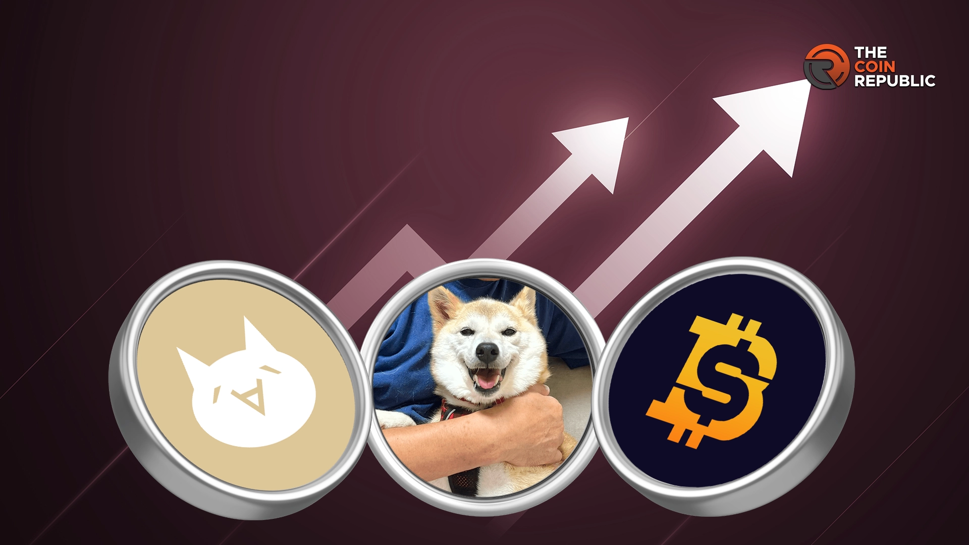 Top Meme Coins likely to perform better this week