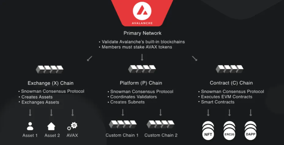 Avalanche Chain Options
