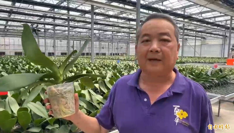 台南蘭花農李蒼裕表示，最近一批即將外銷美國的蘭花，報價已受影響。（記者劉婉君攝）
