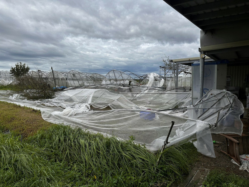 臺南市「蓮心園庇護農藝工場」溫網室嚴重受創。（勞動部提供）