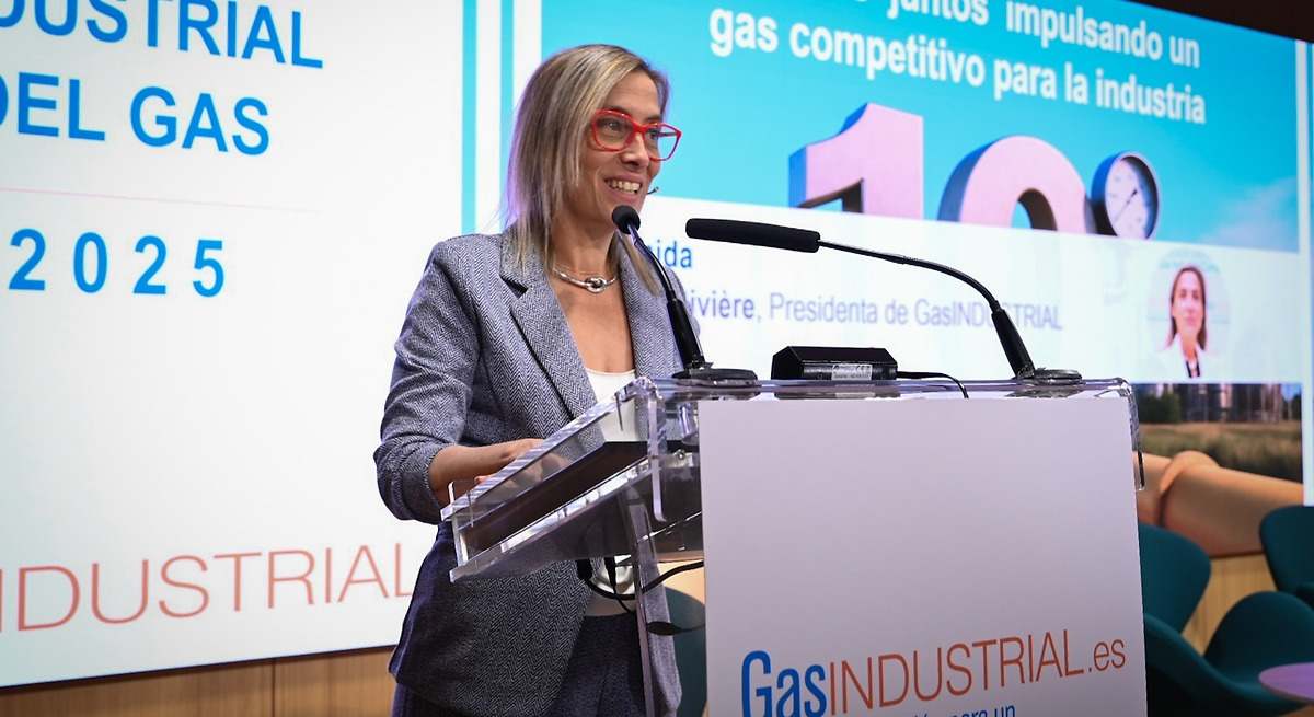 La demanda de gas industrial se desploma un 6% en el último año por falta de competitividad