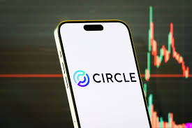 Уолл-стрит не понимает Circle? Сестра Вуд продолжает наращивать свою позицию, в то время как цена падает.