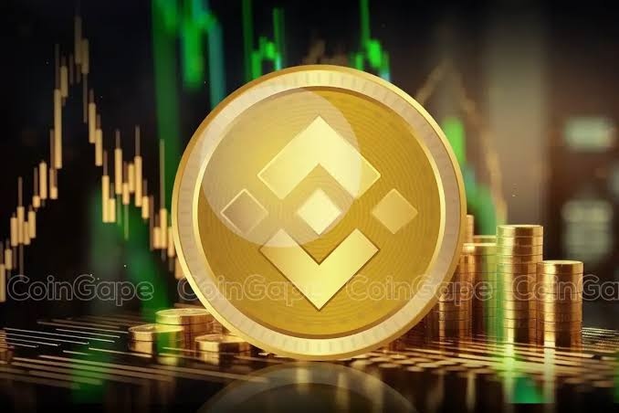 Preço do BNB (BNB): Receita da rede sobe 54% para 54,2 milhões de dólares no 3.º trimestre