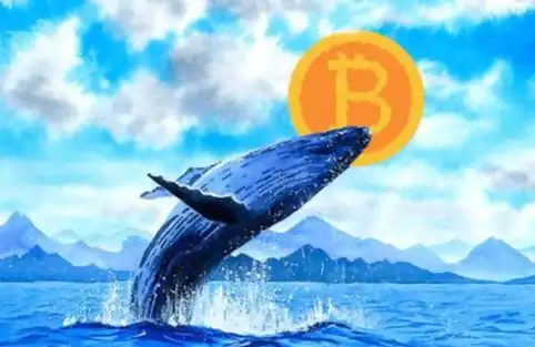 Le sentiment sur les altcoins se divise : comment les baleines agissent face à la panique du marché
