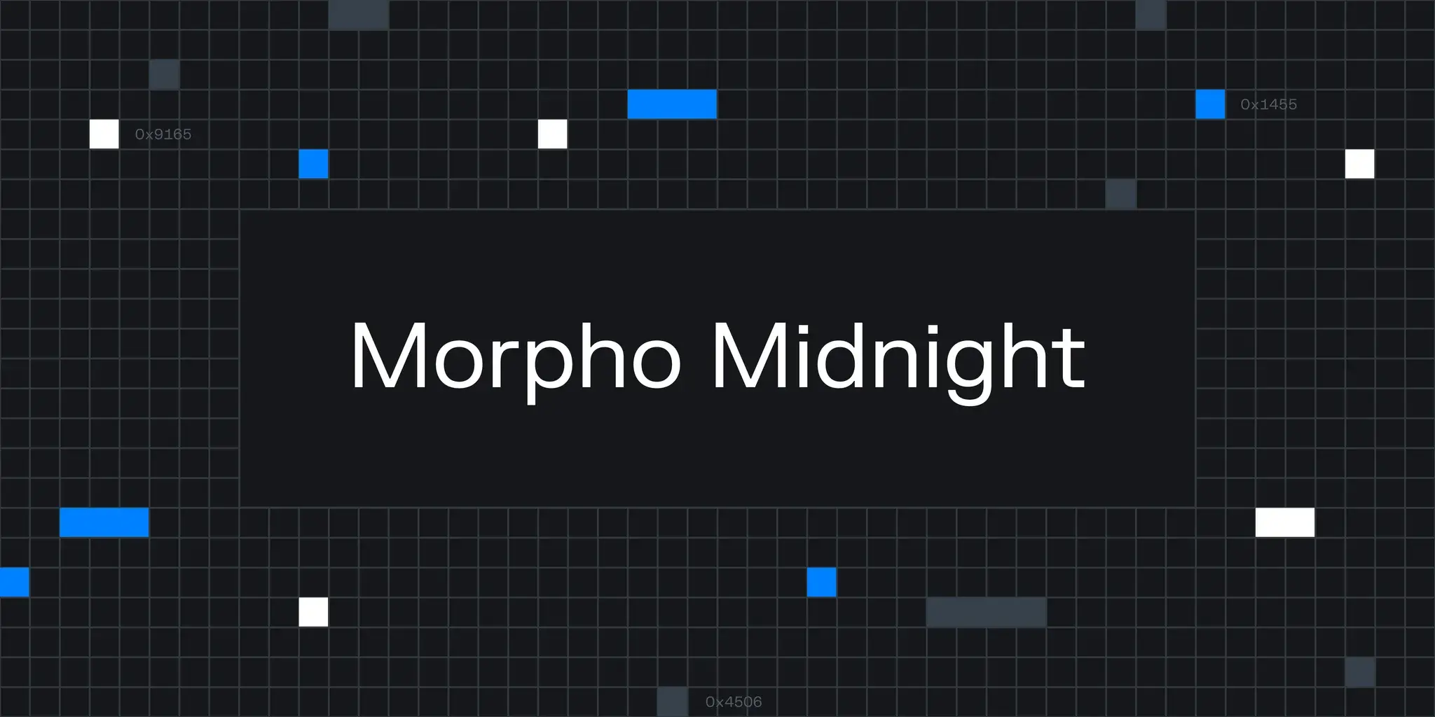 Midnight: настоящая причина медленного роста — не продукт, а формирование рынка